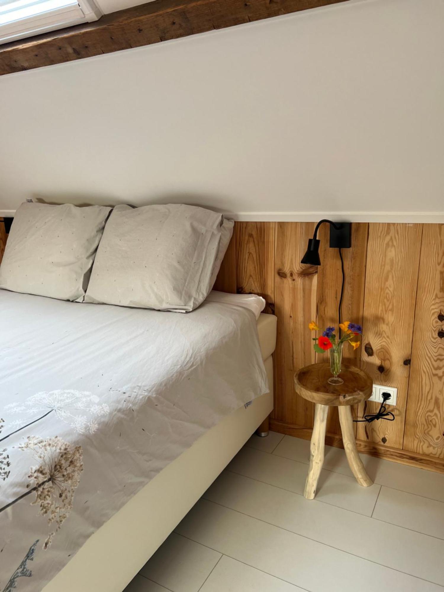 B & B 'Droom In De Polder De Suite Met Prive Sauna Arnemuiden Dış mekan fotoğraf